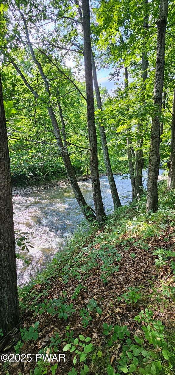 1 Acre of Residential Land for Sale in Equinunk, Pennsylvania