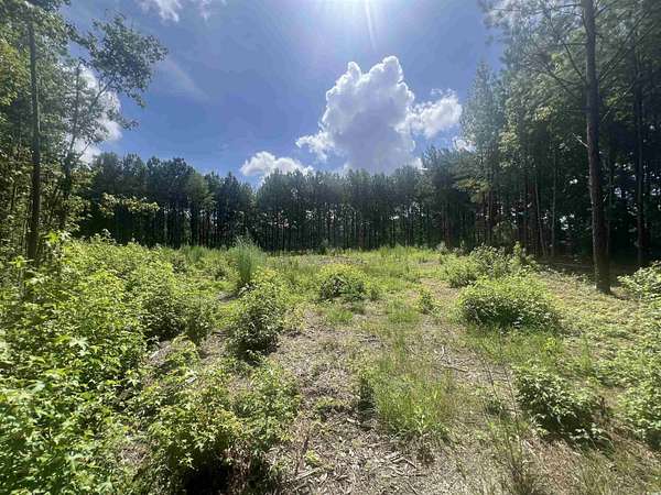 2 Acres of Residential Land for Sale in Loris, South Carolina