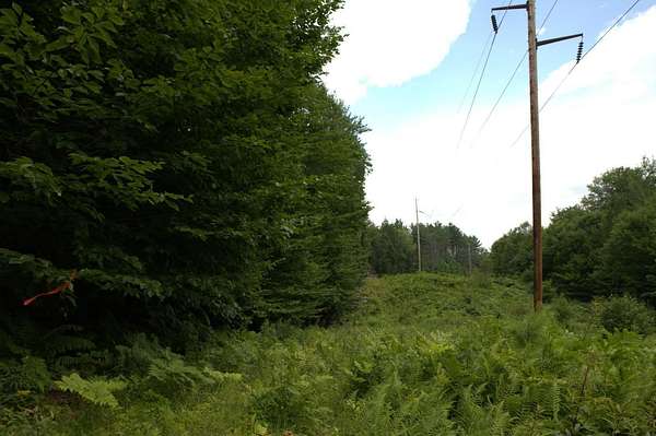 9.5 Acres of Land for Sale in Jay, Maine