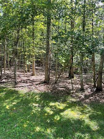 Residential Land for Sale in Daniels, West Virginia