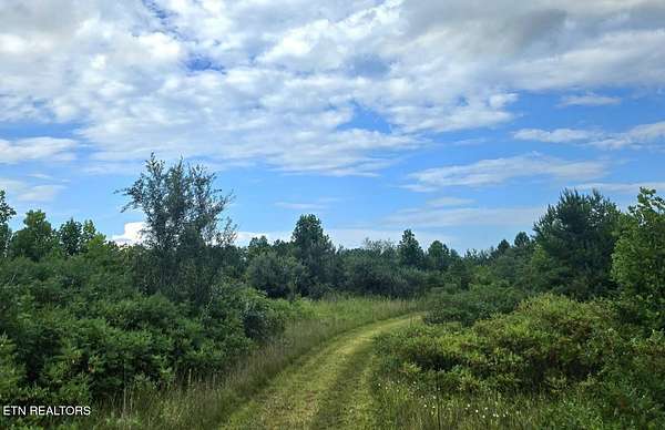 97.3 Acres of Agricultural Land for Sale in Robbins, Tennessee
