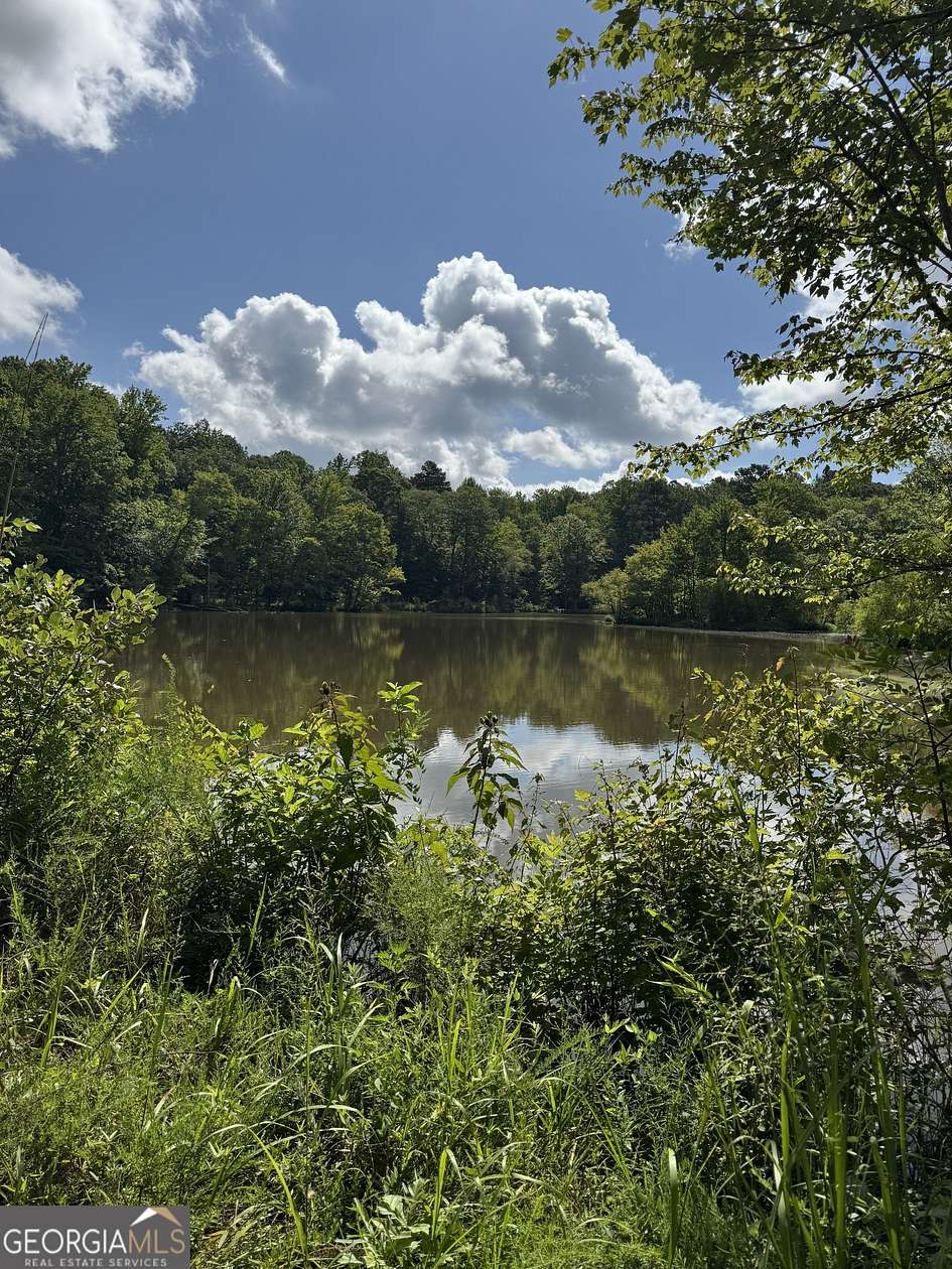 19.5 Acres of Recreational Land for Sale in Covington, Georgia