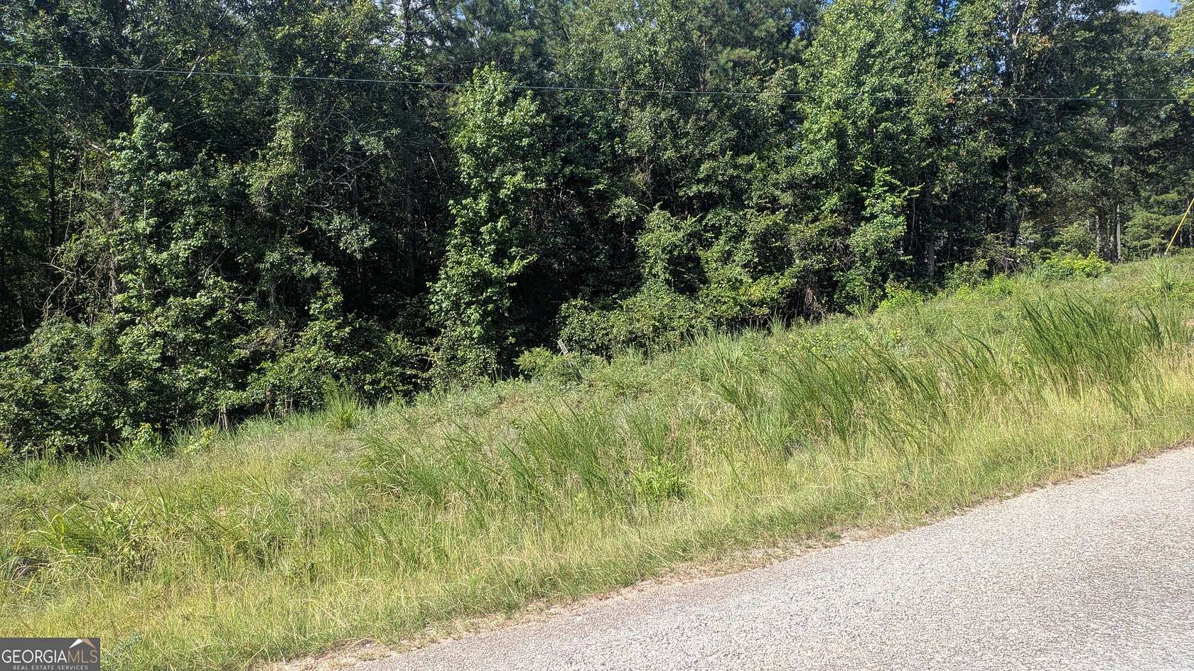 1 Acre of Land for Sale in Sparta, Georgia