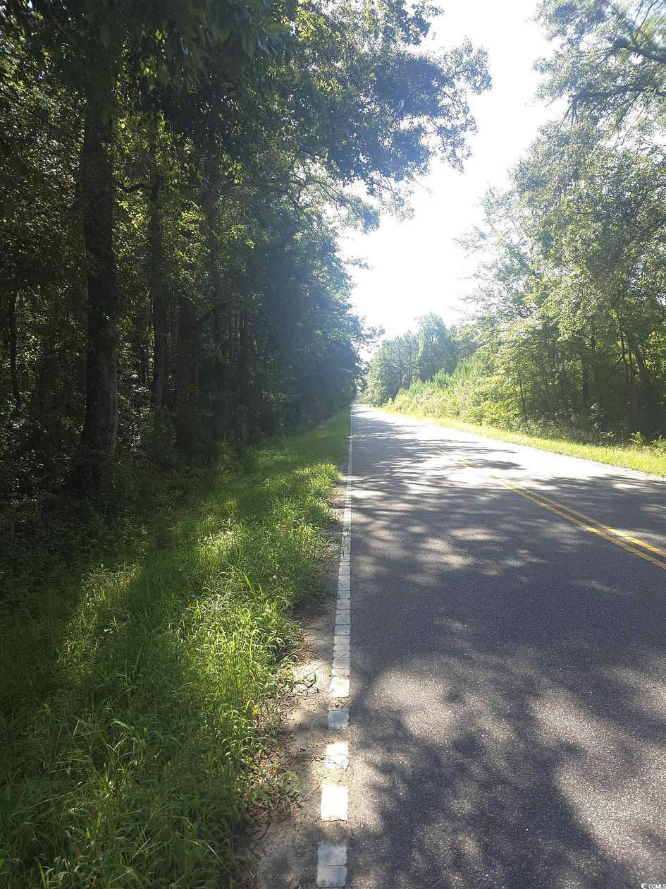 14 Acres of Recreational Land for Sale in Hemingway, South Carolina