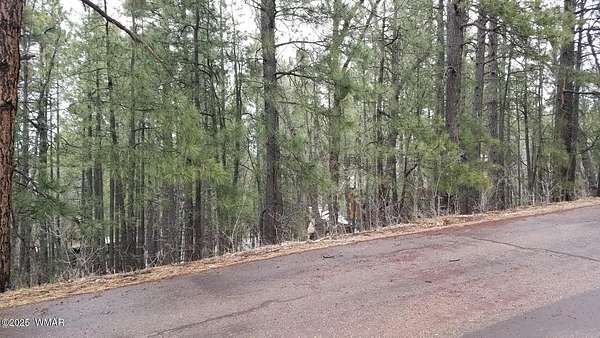 0.69 Acres of Residential Land for Sale in Pinetop, Arizona
