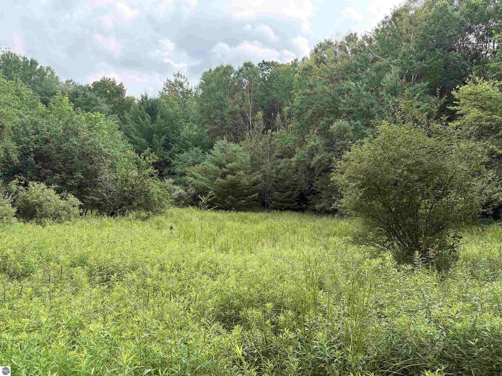40 Acres of Recreational Land for Sale in Luther, Michigan
