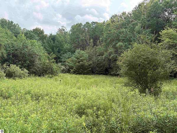 40 Acres of Recreational Land for Sale in Luther, Michigan