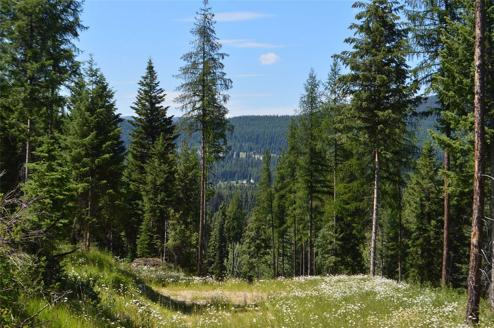 40 Acres of Recreational Land for Sale in Whitefish, Montana