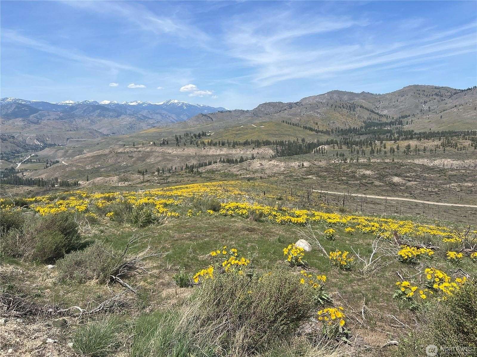 25.8 Acres of Recreational Land for Sale in Methow, Washington