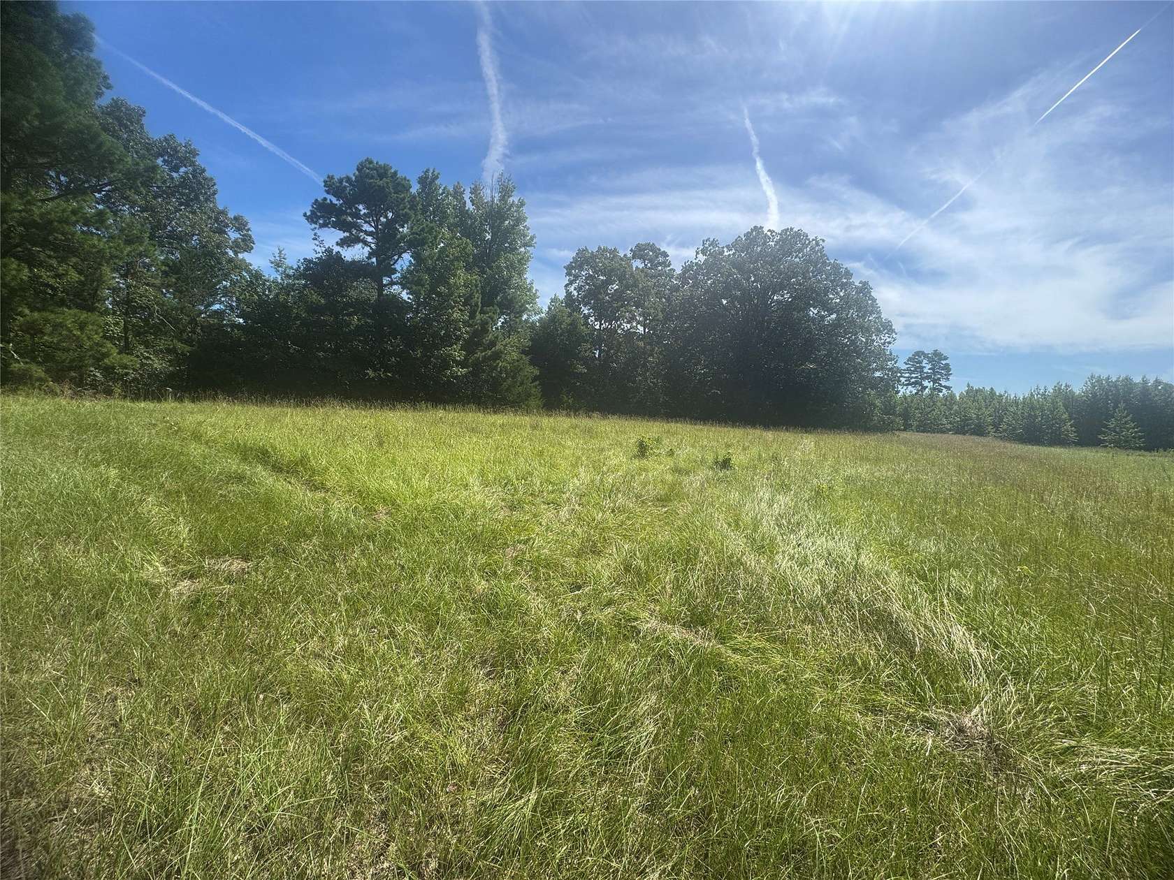 20.9 Acres of Land for Sale in Winnsboro, Texas