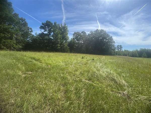 20.9 Acres of Agricultural Land for Sale in Winnsboro, Texas
