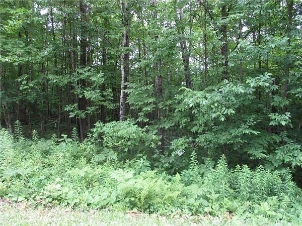 0.49 Acres of Land for Sale in Birchwood, Wisconsin