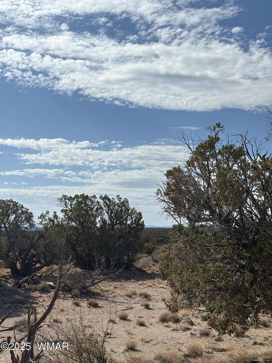 5 Acres of Residential Land for Sale in Snowflake, Arizona