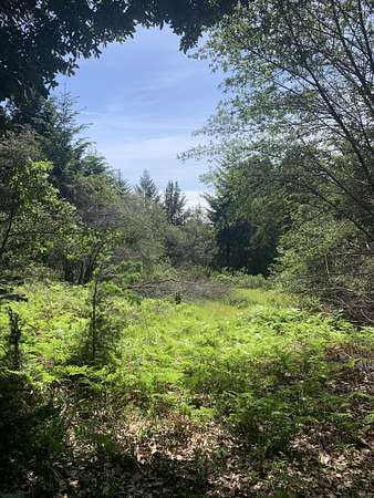 0.61 Acres of Residential Land for Sale in Shelter Cove, California