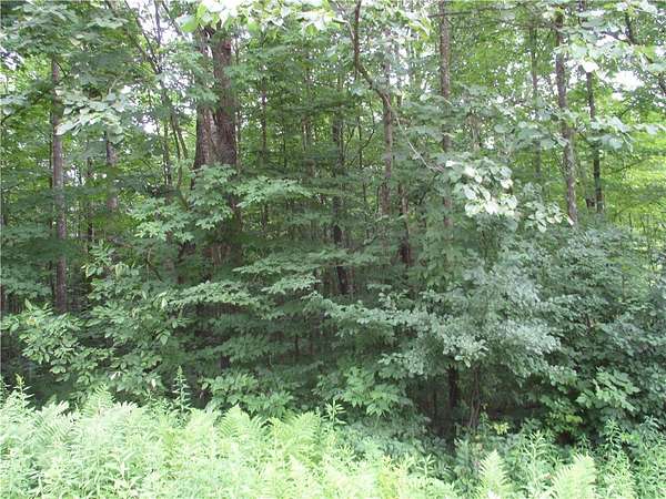 0.5 Acres of Land for Sale in Birchwood, Wisconsin