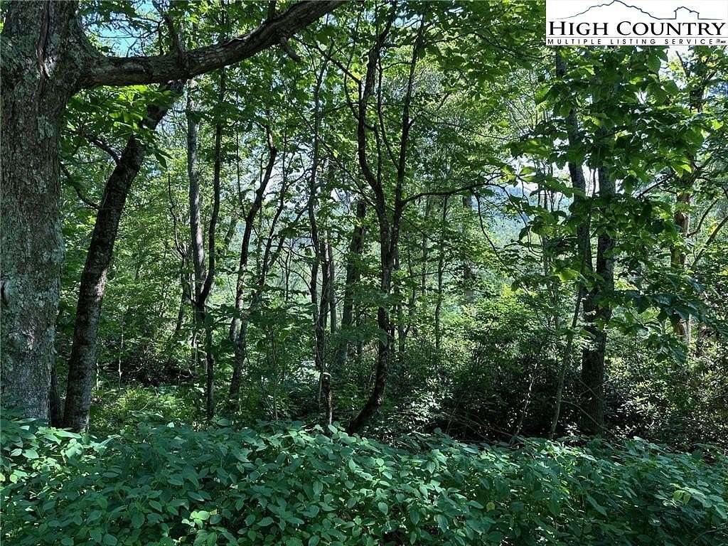 1.39 Acres of Land for Sale in Blowing Rock, North Carolina