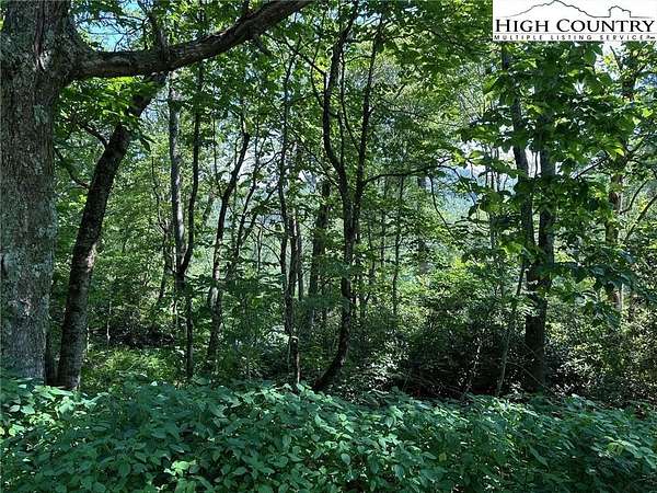 1.39 Acres of Land for Sale in Blowing Rock, North Carolina