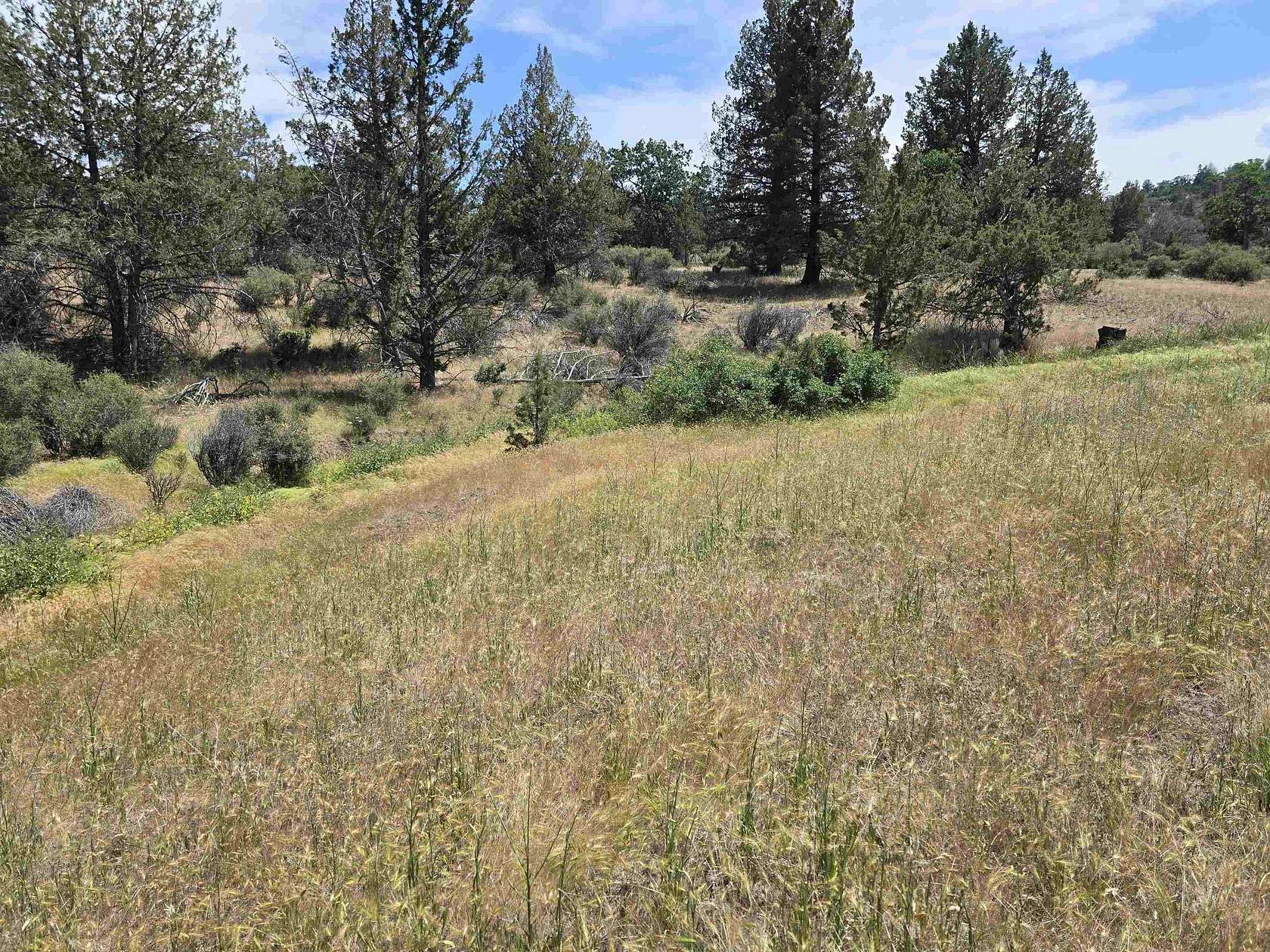 2.5 Acres of Residential Land for Sale in Hornbrook, California
