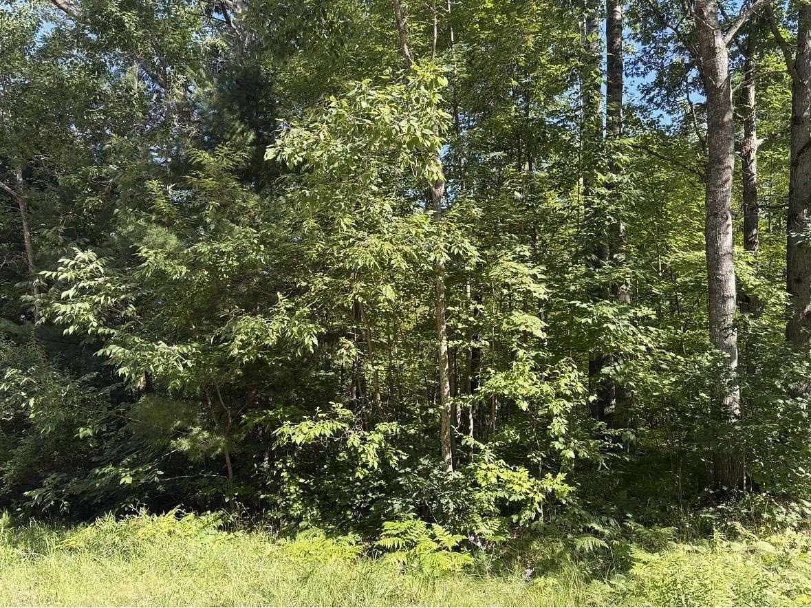 0.3 Acres of Residential Land for Sale in Harrison, Michigan