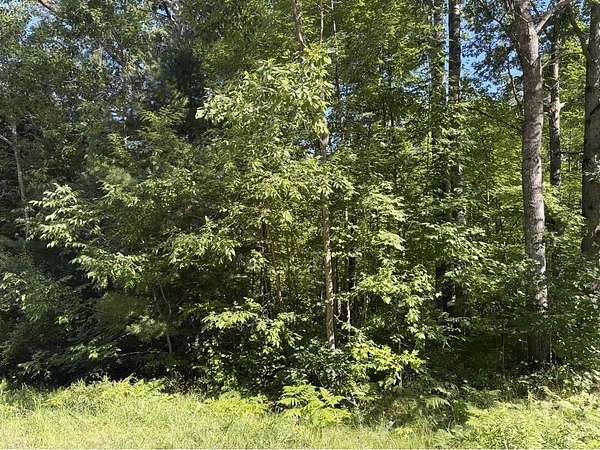 0.3 Acres of Residential Land for Sale in Harrison, Michigan