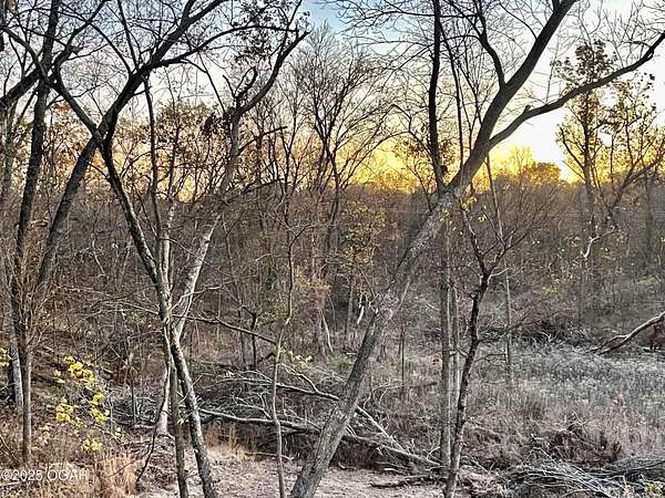 24.5 Acres of Recreational Land for Sale in Joplin, Missouri