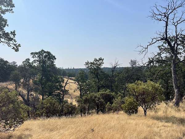 10.6 Acres of Land for Sale in Cottonwood, California