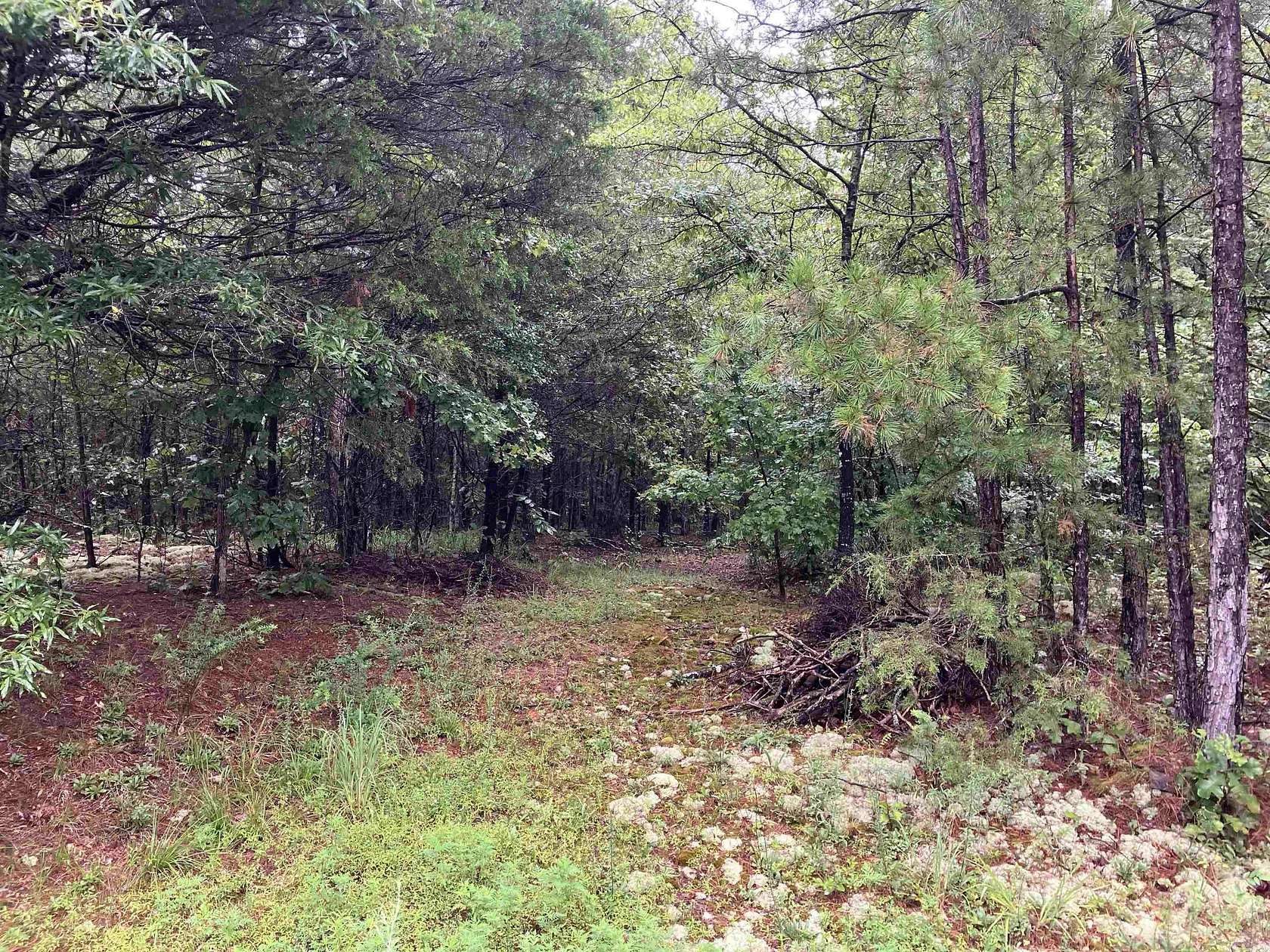 3 Acres of Residential Land for Sale in Pencil Bluff, Arkansas