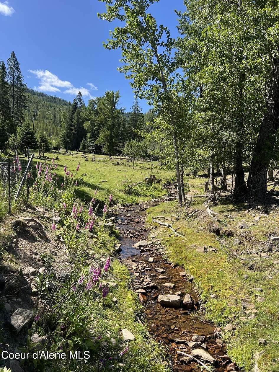 29.4 Acres of Recreational Land with Home for Sale in St. Maries, Idaho