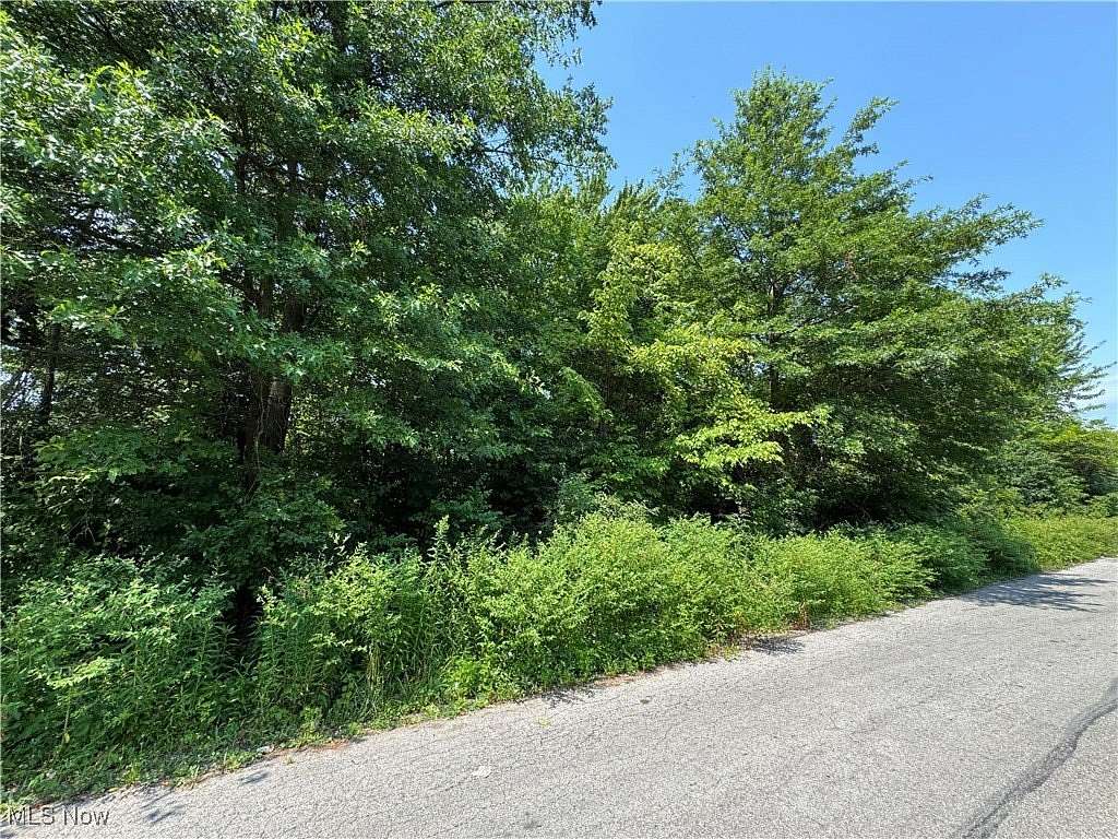 0.47 Acres of Residential Land for Sale in Lorain, Ohio