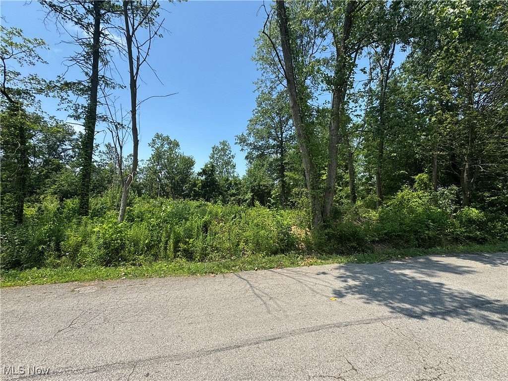 0.34 Acres of Residential Land for Sale in Lorain, Ohio