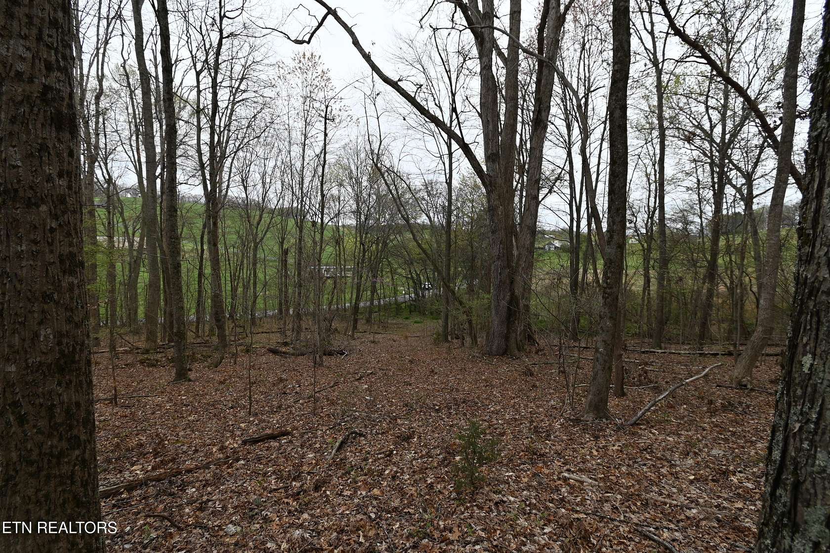 58.5 Acres of Recreational & Residential Land for Sale in Rutledge, Tennessee