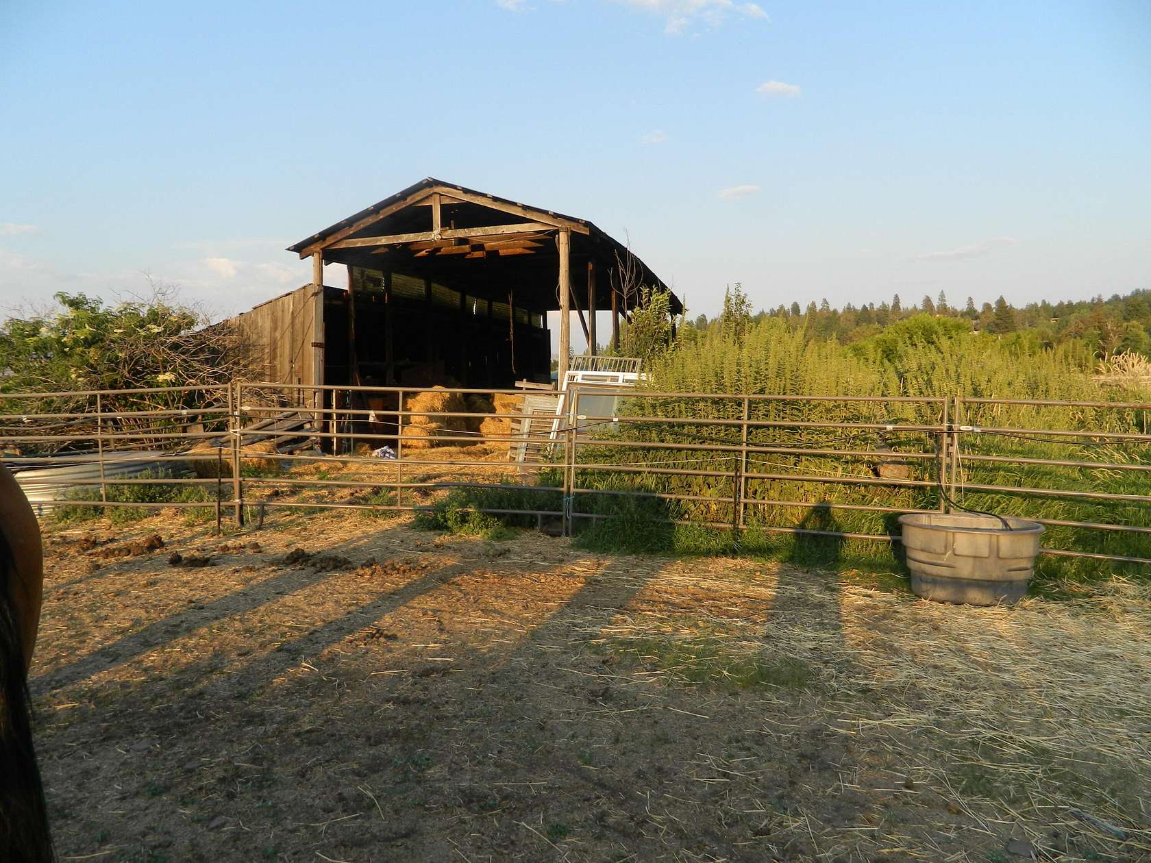 11.5 Acres of Land for Sale in Klamath Falls, Oregon