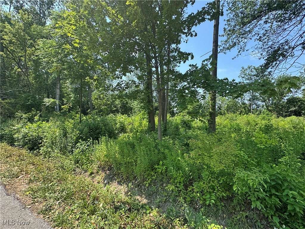 0.61 Acres of Residential Land for Sale in Lorain, Ohio