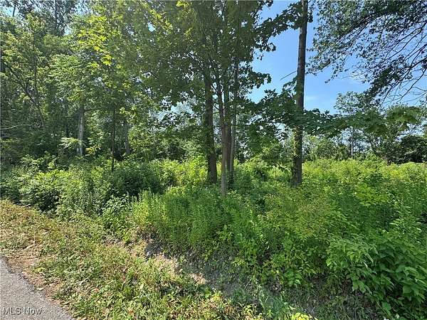 0.61 Acres of Residential Land for Sale in Lorain, Ohio
