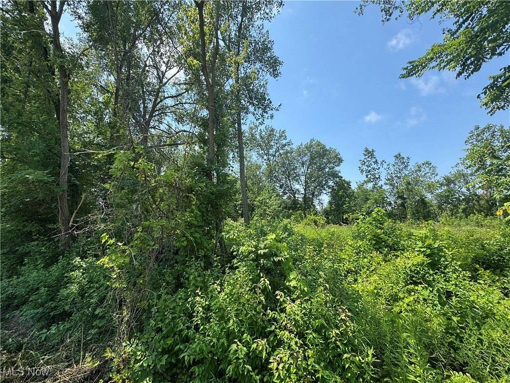 0.54 Acres of Residential Land for Sale in Lorain, Ohio