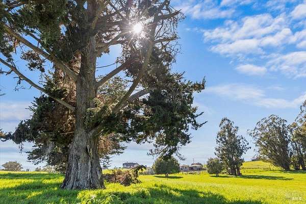 2 Acres of Residential Land for Sale in Petaluma, California