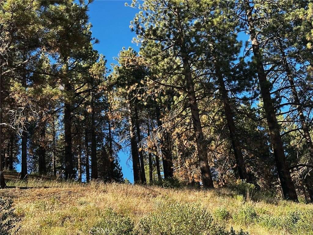 0.05 Acres of Land for Sale in Running Springs, California