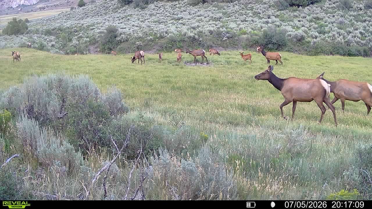 153 Acres of Recreational Land for Sale in Meeker, Colorado