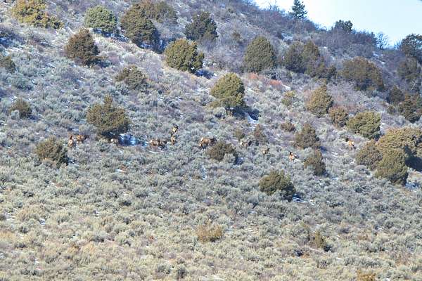 153 Acres of Recreational Land for Sale in Meeker, Colorado