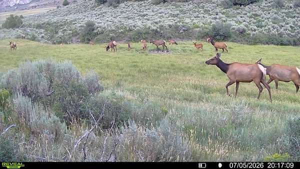 153 Acres of Recreational Land for Sale in Meeker, Colorado