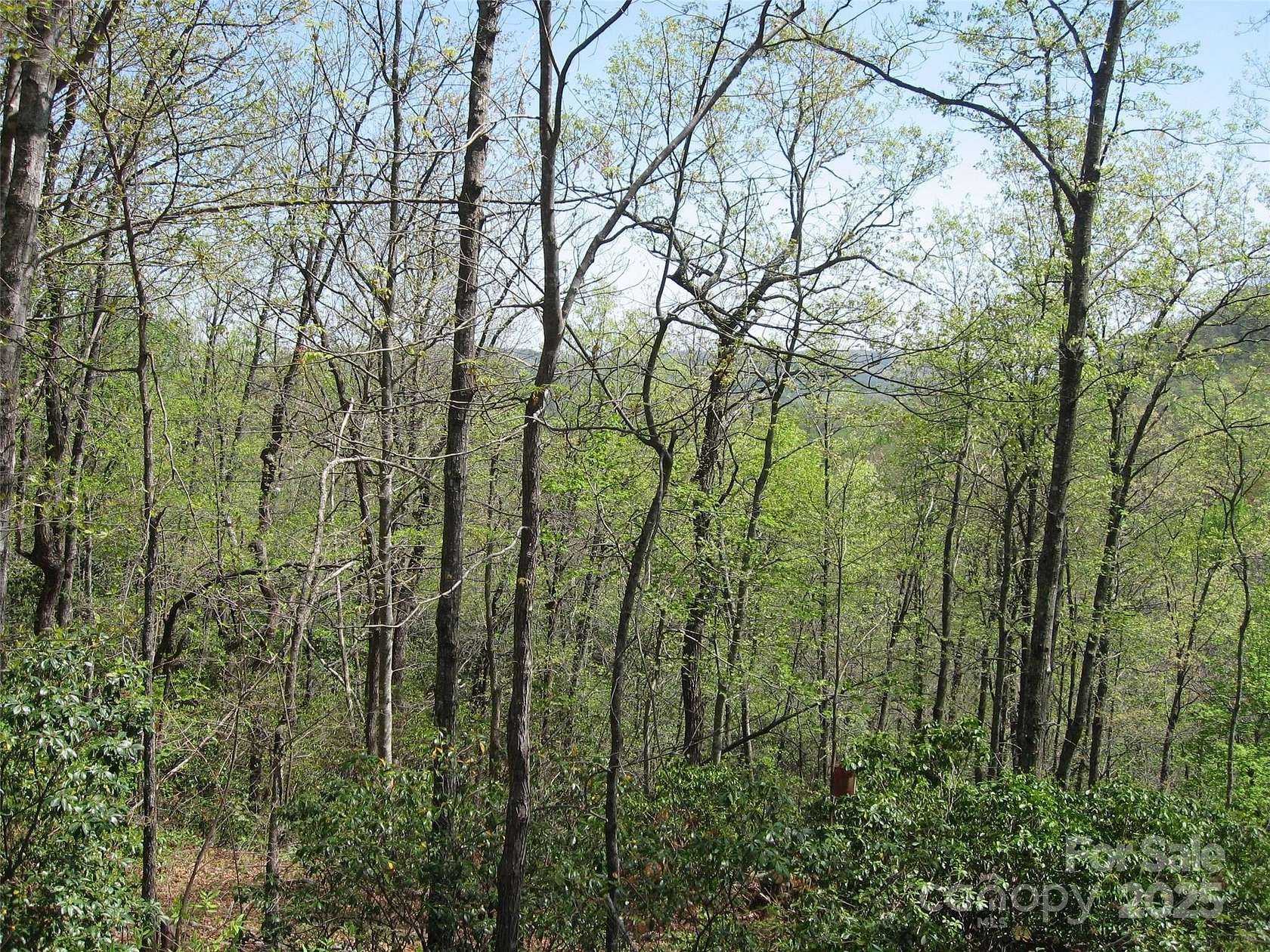 60 Acres of Land for Sale in Rosman, North Carolina