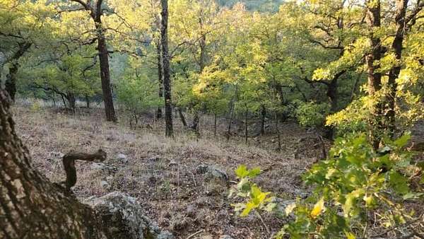 2 Acres of Residential Land for Sale in Sunset, Texas
