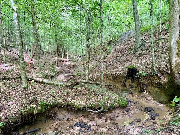 21.3 Acres of Recreational Land for Sale in Beattyville, Kentucky