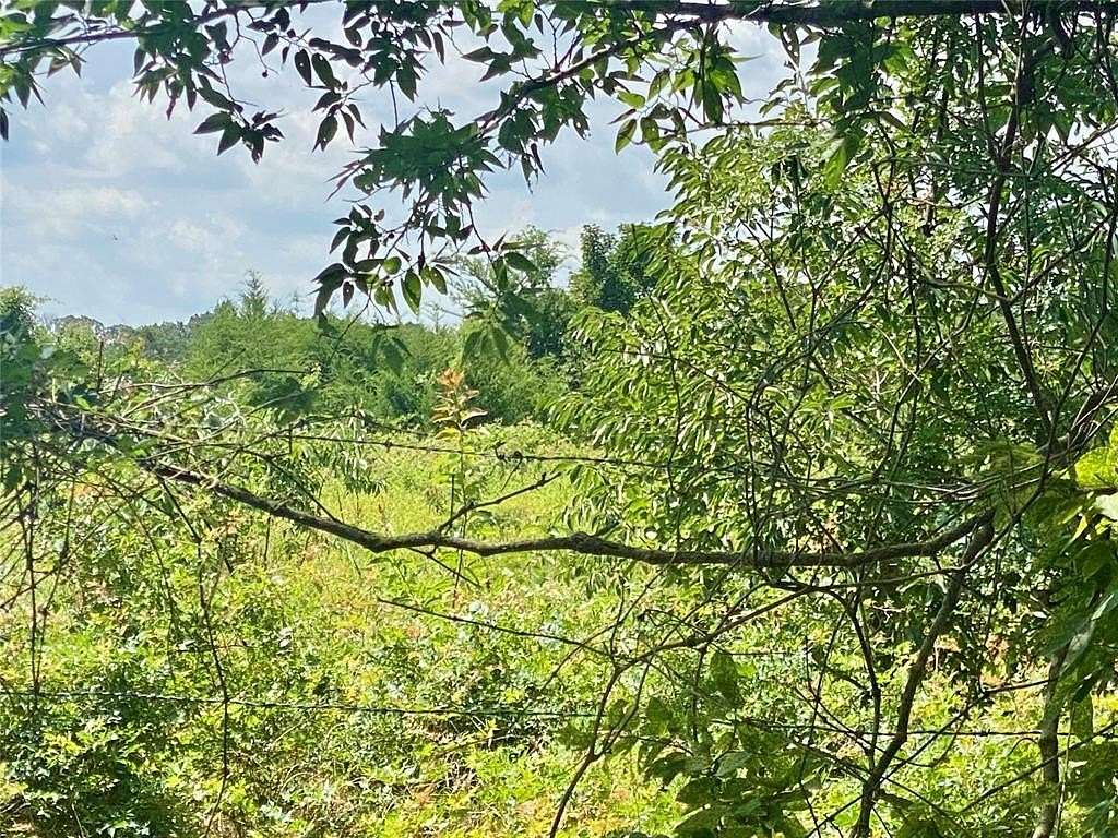 2 Acres of Land for Sale in Telephone, Texas