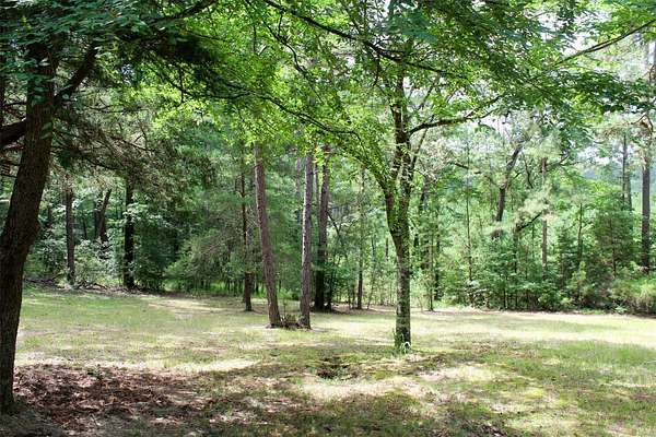 55 Acres of Recreational Land with Home for Sale in Grapeland, Texas