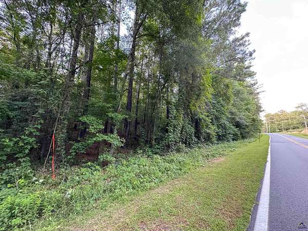 12.6 Acres of Land for Sale in Roberta, Georgia