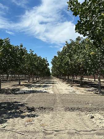 27.3 Acres of Agricultural Land with Home for Sale in Lemoore, California