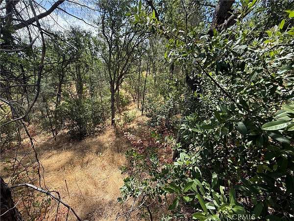 1.86 Acres of Residential Land for Sale in Corning, California