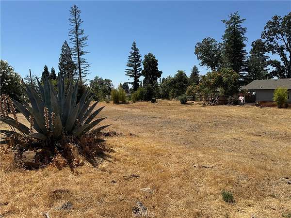 0.24 Acres of Residential Land for Sale in Paradise, California