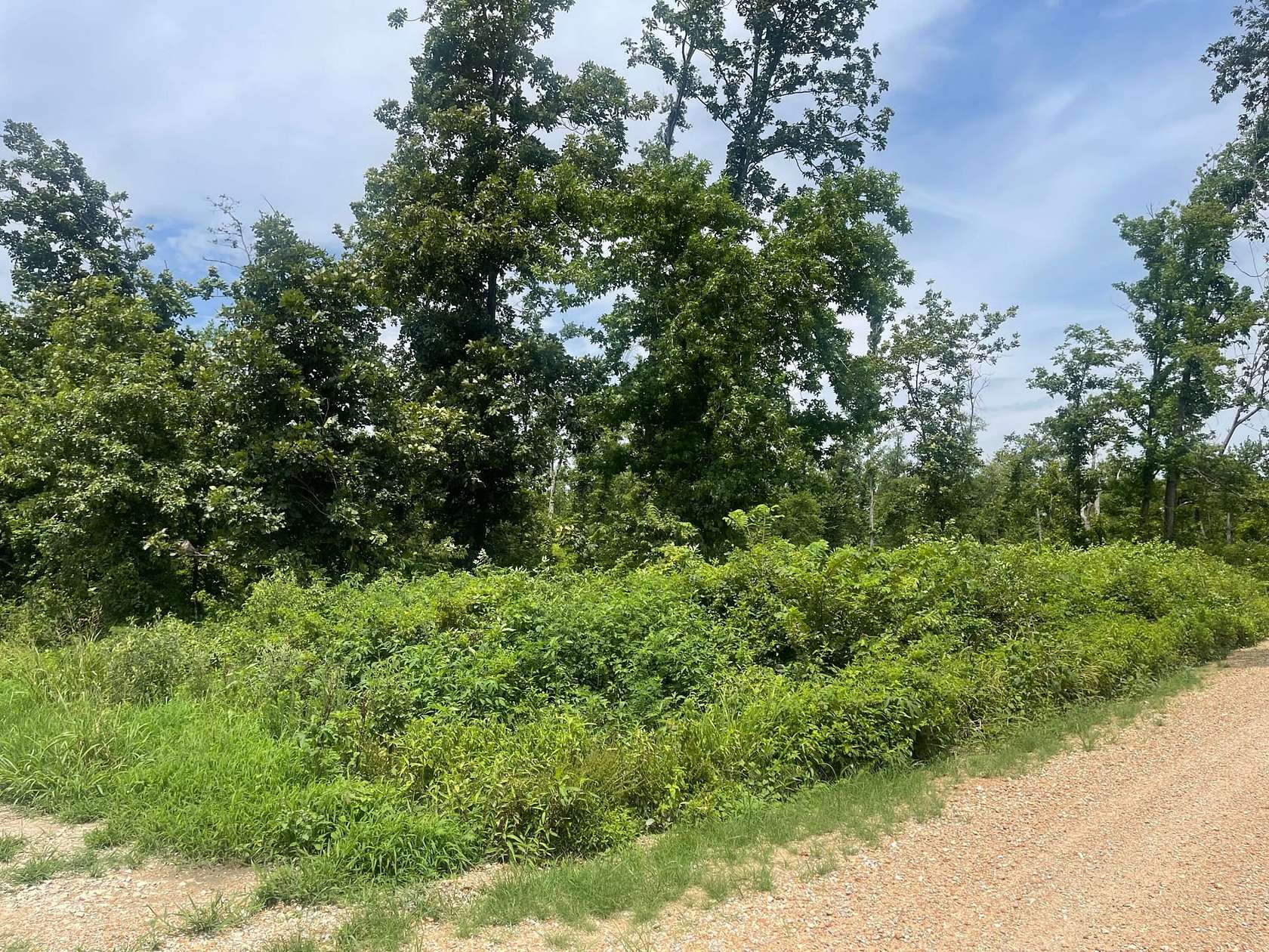 80 Acres of Land for Sale in Poplar Bluff, Missouri